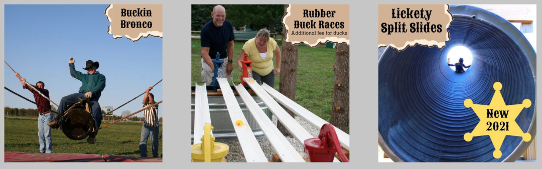 多伦多周边最美向日葵花海盘点：花期将近！打卡攻略码住收藏！