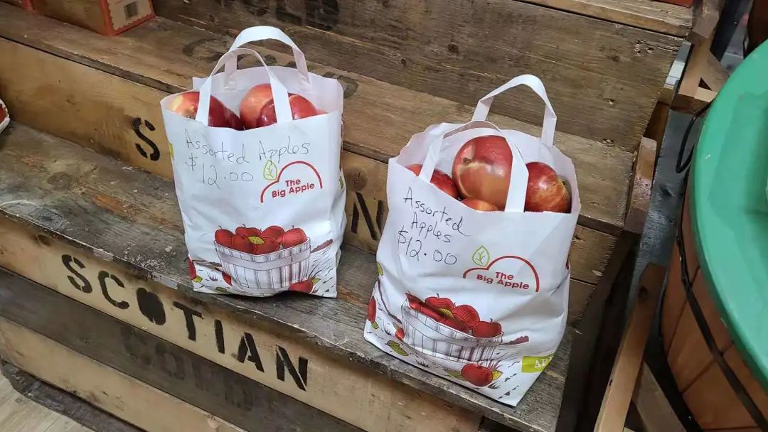 打卡The Big Apple：一个集中了游乐园动物园苹果园的非著名网红景点