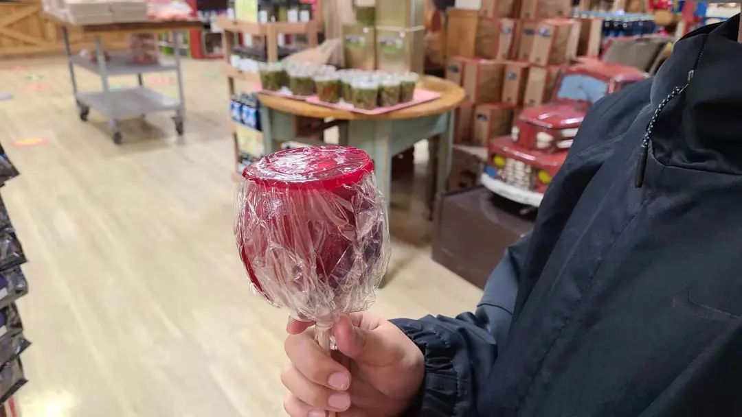 打卡The Big Apple：一个集中了游乐园动物园苹果园的非著名网红景点