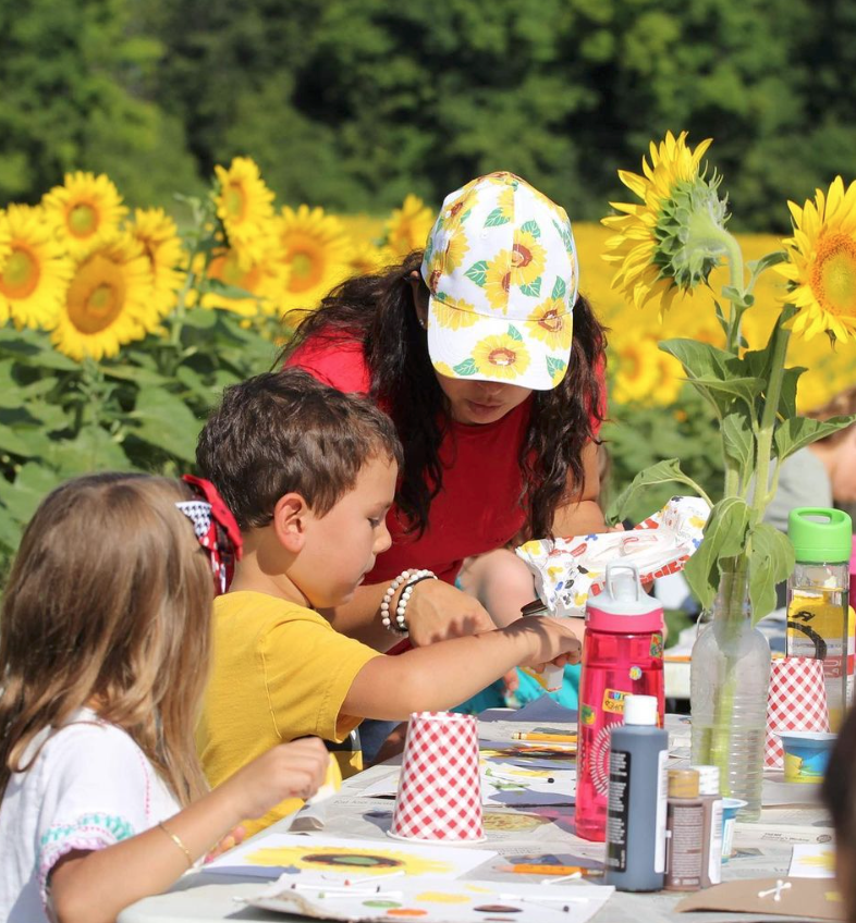 多伦多周边最美向日葵花海盘点：花期将近！打卡攻略码住收藏！