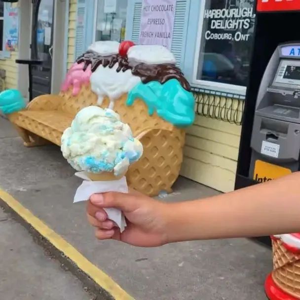 多伦多周边最美向日葵花海盘点：花期将近！打卡攻略码住收藏！