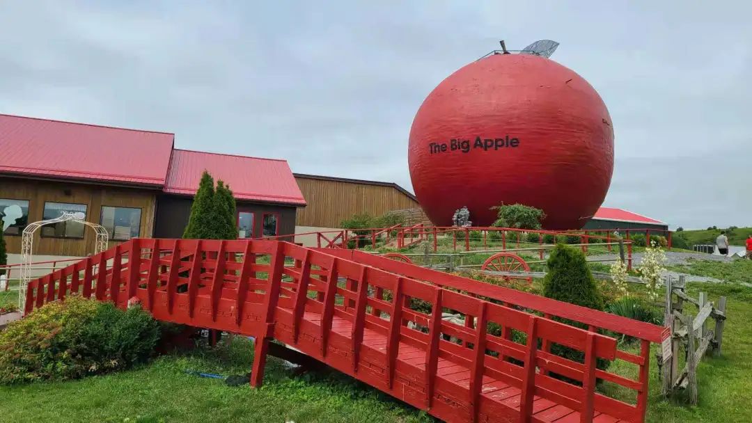打卡The Big Apple：一个集中了游乐园动物园苹果园的非著名网红景点