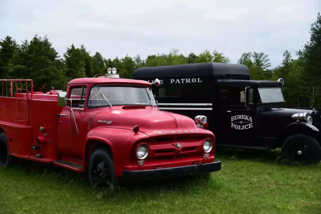 打卡The Big Apple：一个集中了游乐园动物园苹果园的非著名网红景点