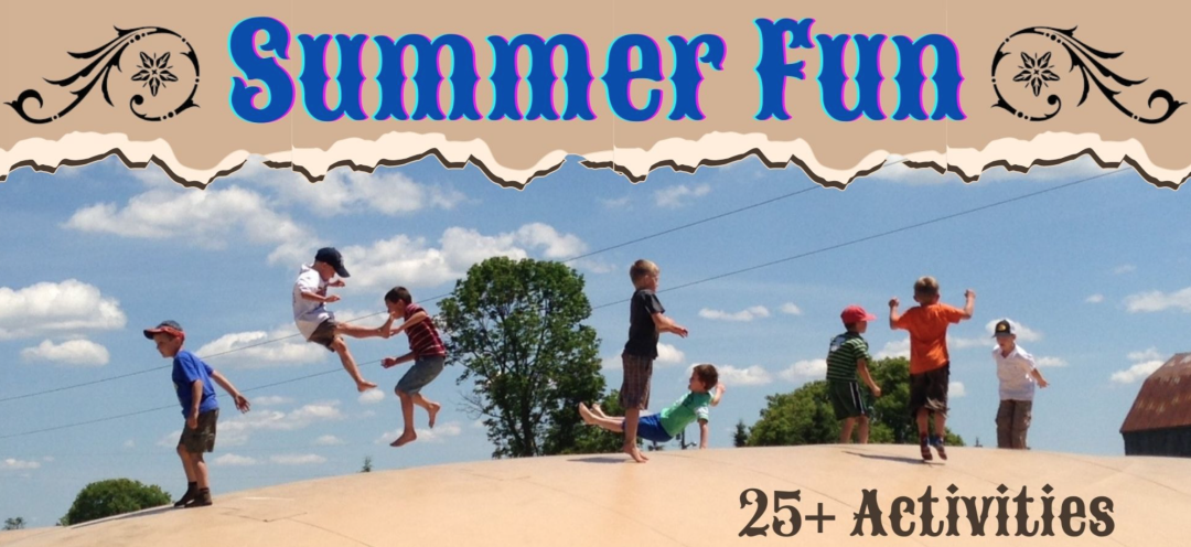 多伦多周边最美向日葵花海盘点：花期将近！打卡攻略码住收藏！