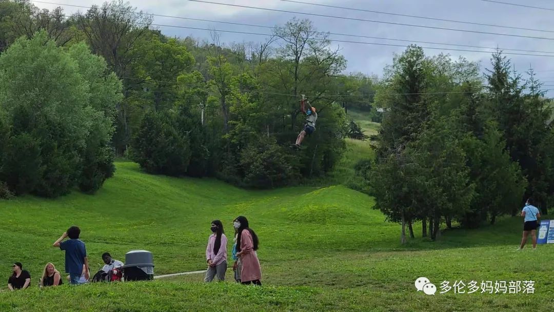 打卡蓝山每一条花路：去疯去狂去闯荡去坚强！