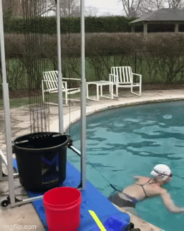 呸！配？她被加拿大养父母培养成奥运冠军，就为她寻亲？