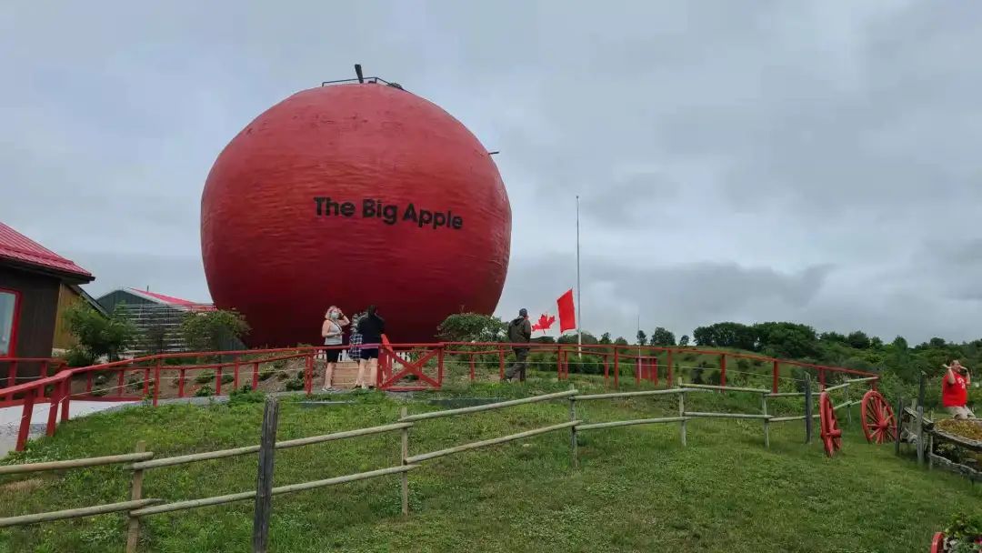 打卡The Big Apple：一个集中了游乐园动物园苹果园的非著名网红景点