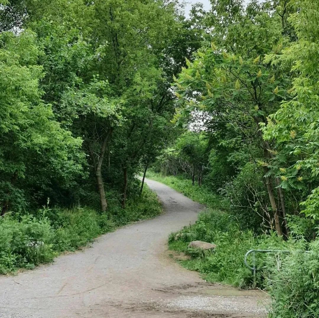 打卡Cobourg小镇：防疫超硬核！吃到了忍不住给小费的冰淇淋