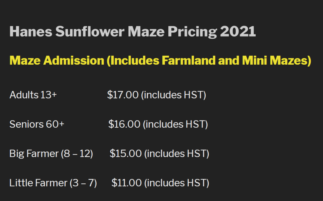 多伦多周边最美向日葵花海盘点：花期将近！打卡攻略码住收藏！