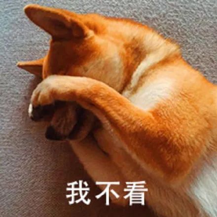 打卡The Big Apple:一个集中了游乐园动物园苹果园的非著名网红景点 打卡The Big Apple:一个集中了游乐园动物园苹果园的非著名网红景点