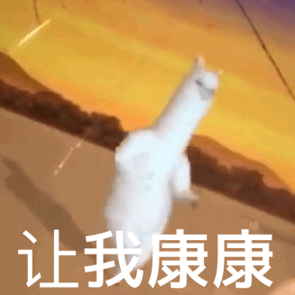 打卡The Big Apple：一个集中了游乐园动物园苹果园的非著名网红景点