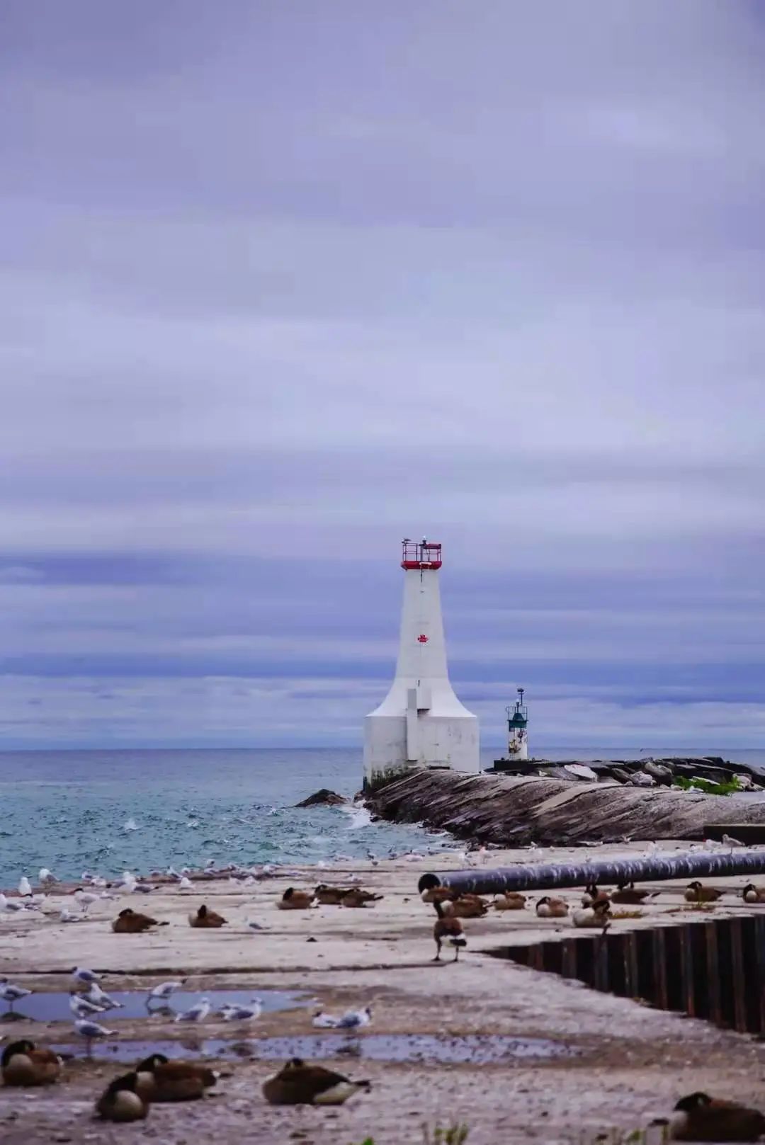 打卡Cobourg小镇：防疫超硬核！吃到了忍不住给小费的冰淇淋