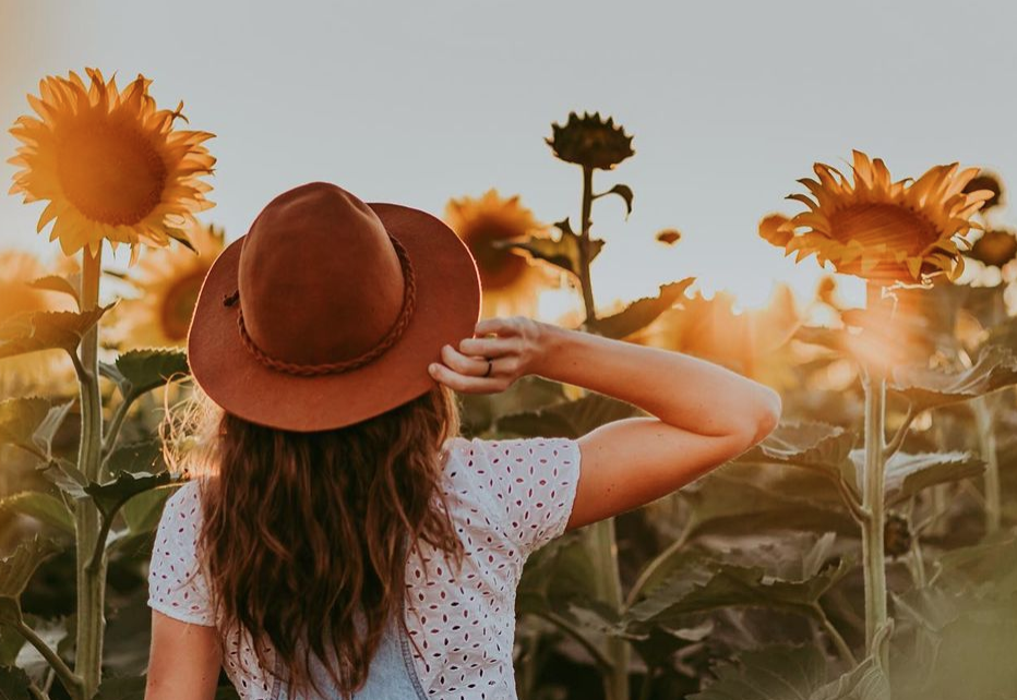 多伦多周边最美向日葵花海盘点：花期将近！打卡攻略码住收藏！