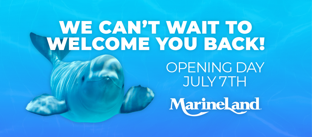 Marineland海洋乐园开啦！最新游园攻略了解一下