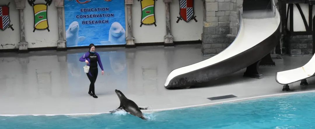 Marineland海洋乐园开啦！最新游园攻略了解一下