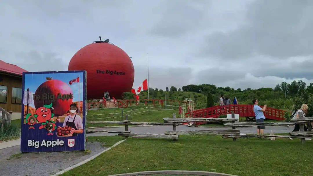打卡The Big Apple：一个集中了游乐园动物园苹果园的非著名网红景点