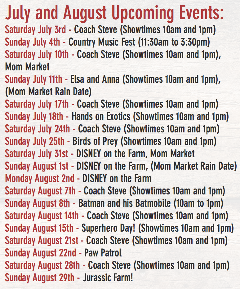 多伦多周边最美向日葵花海盘点：花期将近！打卡攻略码住收藏！