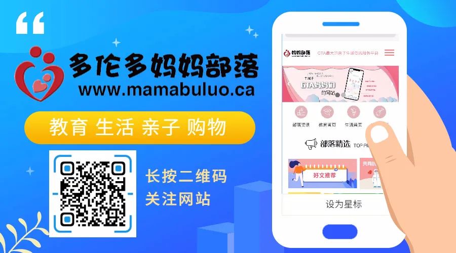 【北美买面粉常识】低筋、中筋、高筋！傻傻分不清？