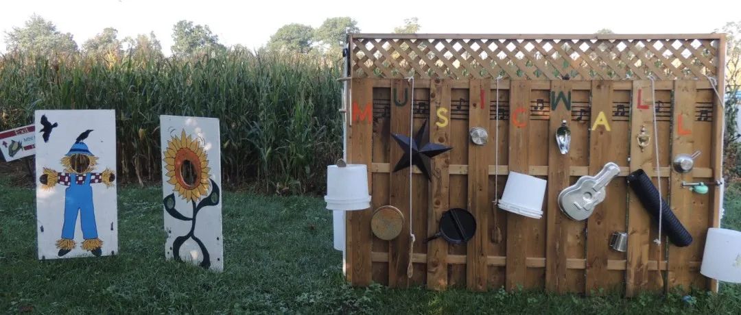 秋天的第一波摘水果：多伦多周边8个最好玩的摘苹果PYO果园！