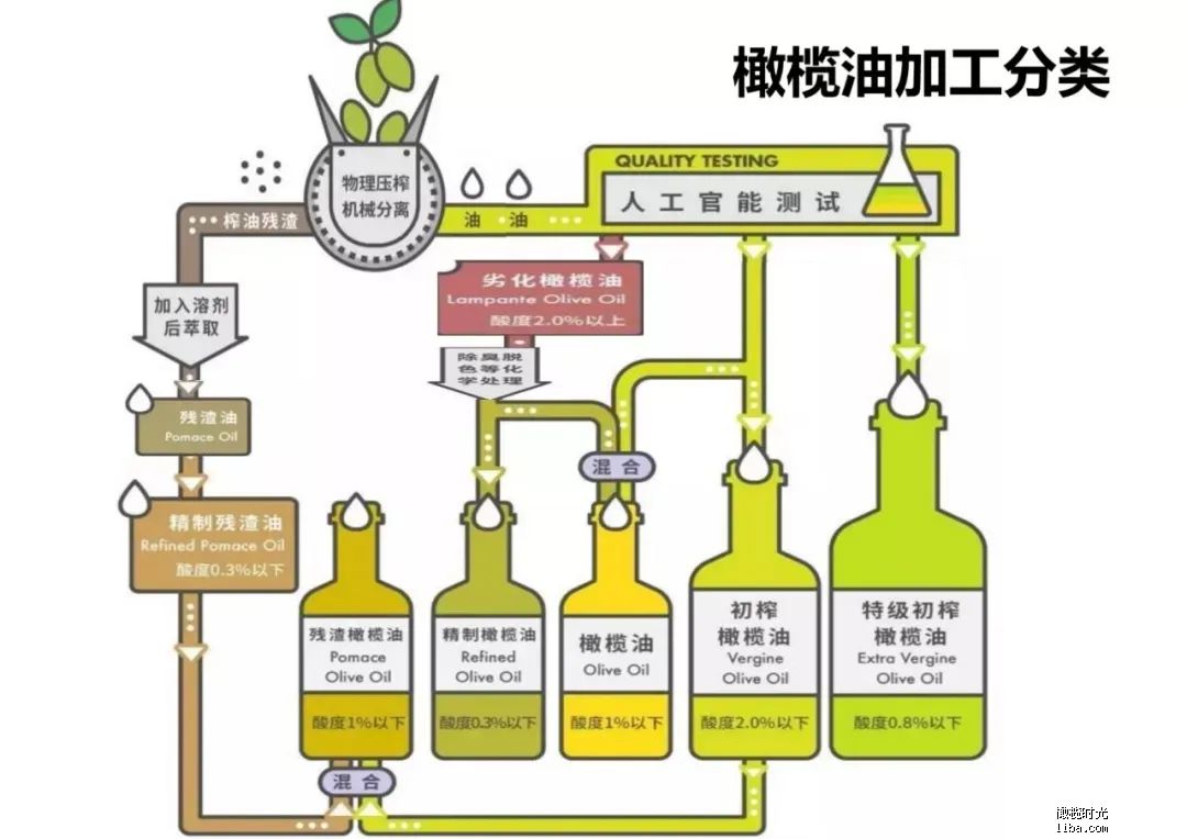 北美超市食用油选购： 这么多年，我吃错了？