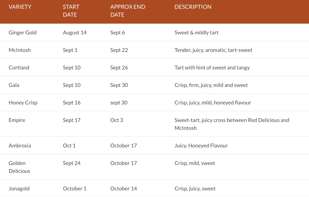 秋天的第一波摘水果：多伦多周边8个最好玩的摘苹果PYO果园！