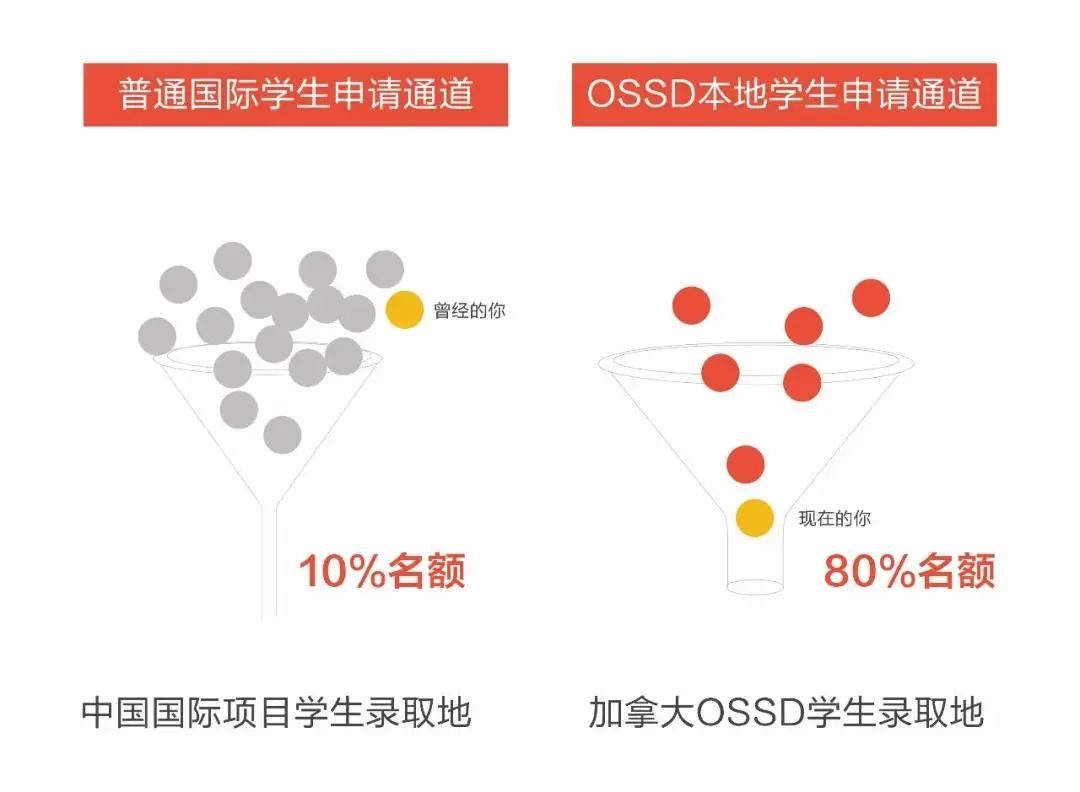 要OSSD，也要留在国内？快加入加高在线OSSD山东合作学校