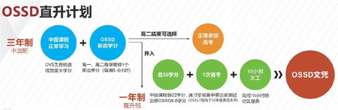 要OSSD，也要留在国内？快加入加高在线OSSD山东合作学校