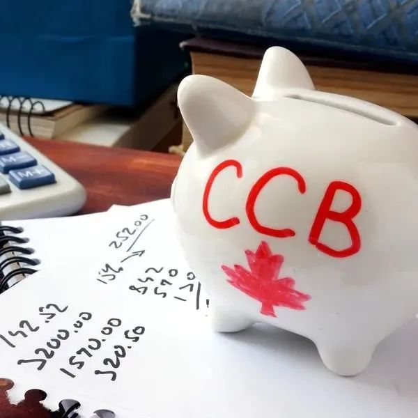 【2021更新版】安省限期福利：儿童免费视力检查+配眼镜又开始啦！