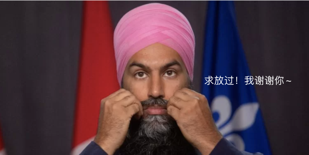 穿出去炸街！印有特鲁多半裸性感身材的T恤在多伦多卖疯了~