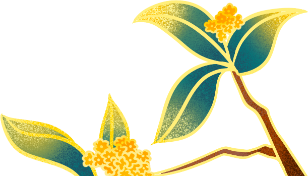 种个球！Costco上架的球根真的有手就能种吗？！