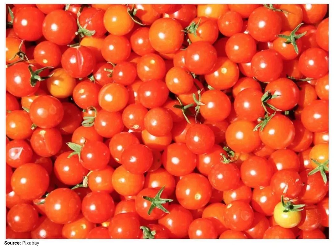 一颗葡萄差点要了孩子的命！午餐便当带圆形水果一定要这样切