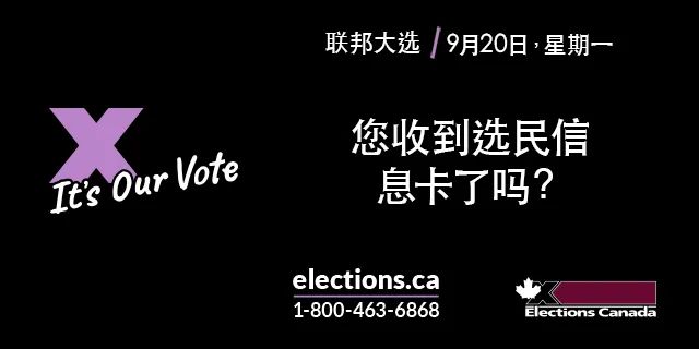 万物皆可炸！小红书流量王的10款空气炸锅食谱：每看必收