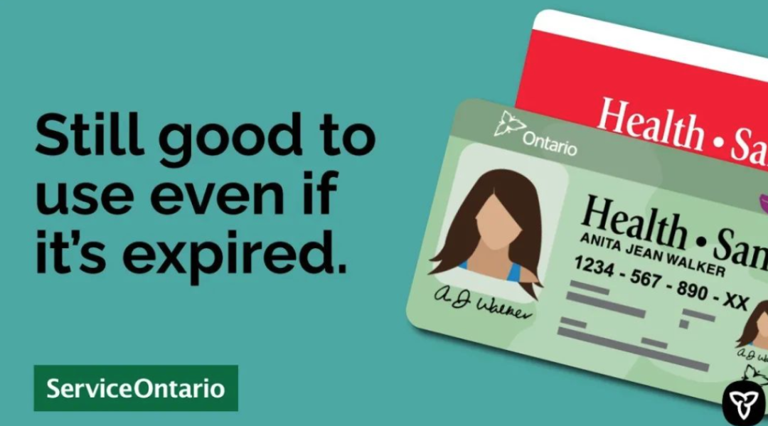 安省最新通告：别拖了！过期的驾照、车牌贴纸赶紧更新！