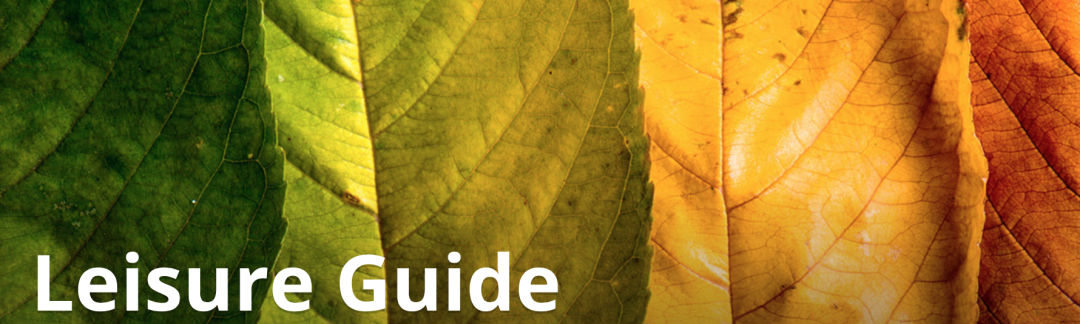 大多伦多各区的社区兴趣班、冬令营开始报名了：免费班要定闹表拼手速！