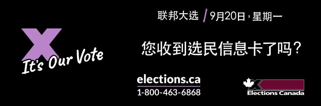 安省最新通告：别拖了！过期的驾照、车牌贴纸赶紧更新！