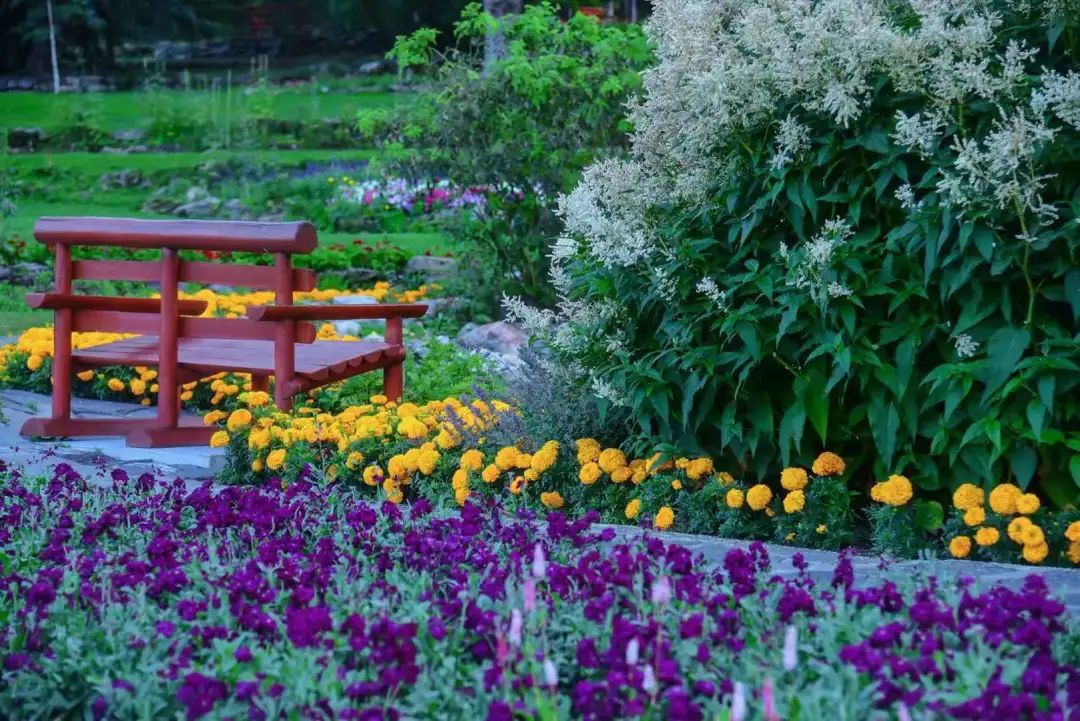 打卡班夫小众景点：进一步是悬崖，退一步是深渊