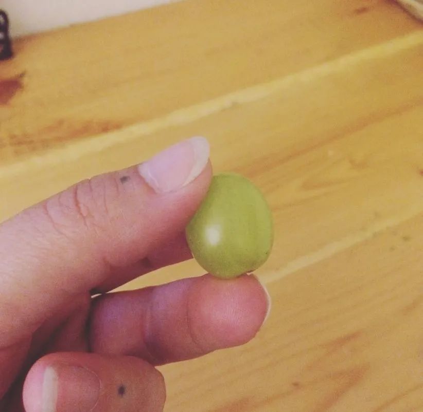 一颗葡萄差点要了孩子的命！午餐便当带圆形水果一定要这样切