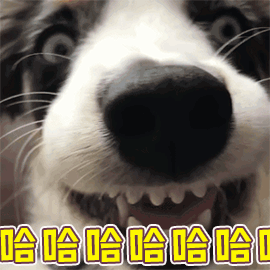 穿出去炸街！印有特鲁多半裸性感身材的T恤在多伦多卖疯了~