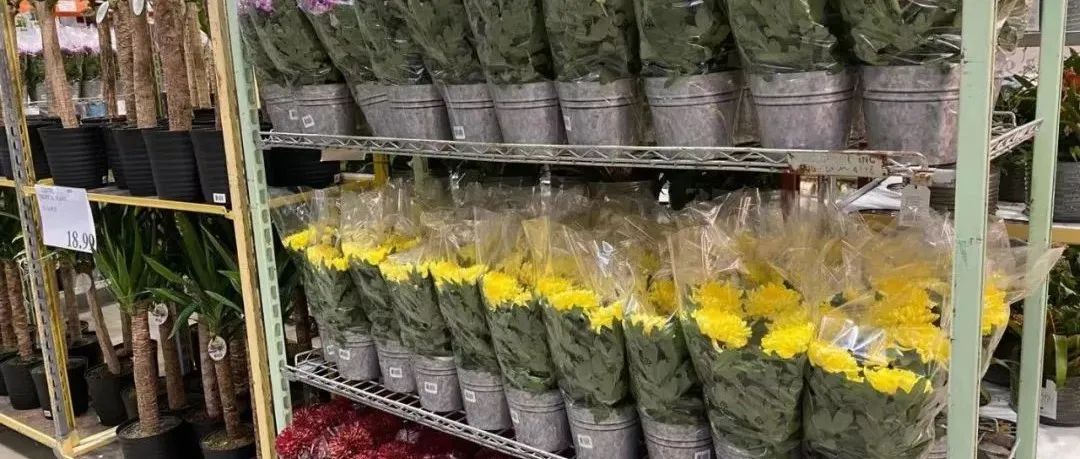 感恩节放了火鸡一条生路！Costco烤鸡：你礼貌吗？