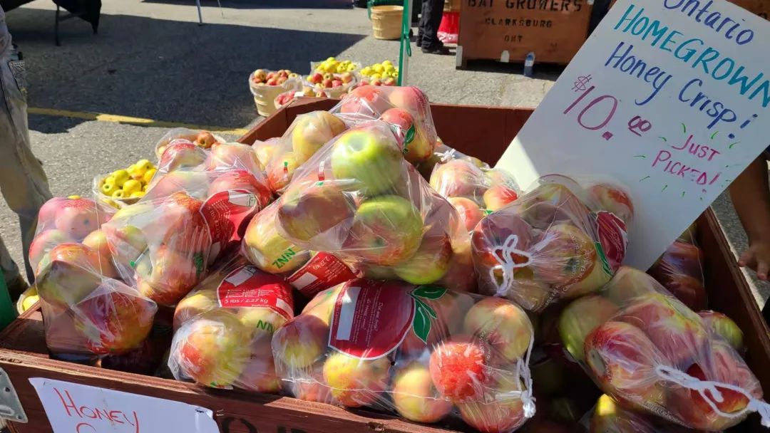 打卡St. Jacobs农贸市场：不吃德国猪蹄，就为赶大集