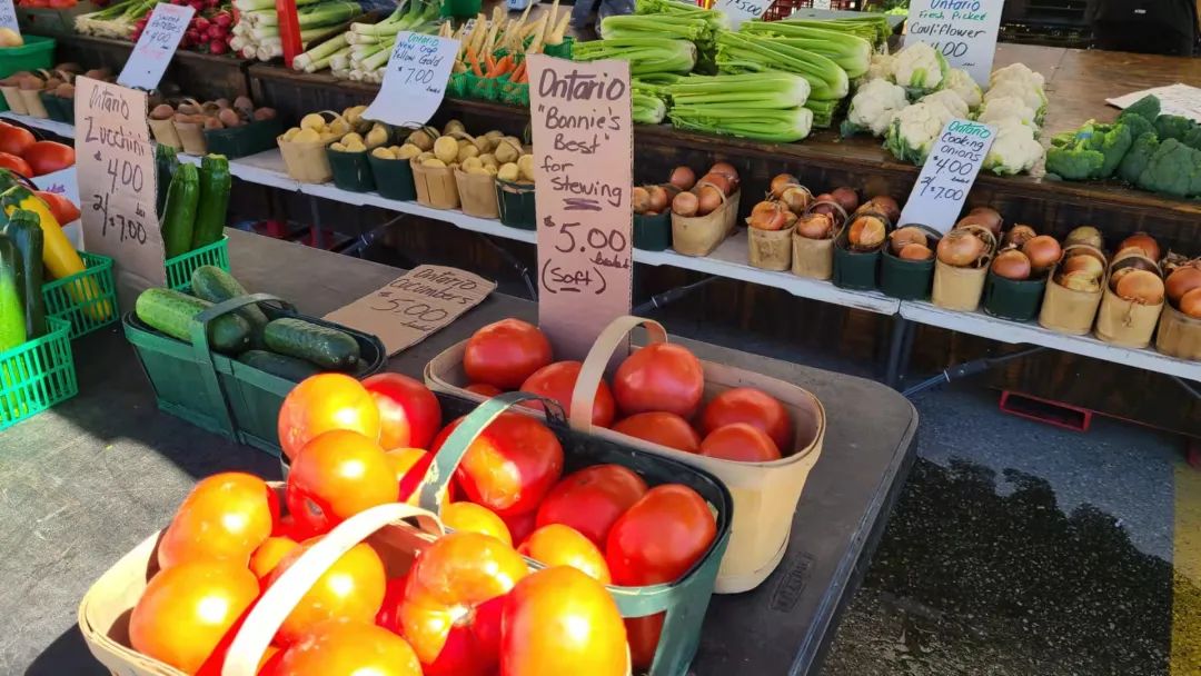 打卡St. Jacobs农贸市场：不吃德国猪蹄，就为赶大集