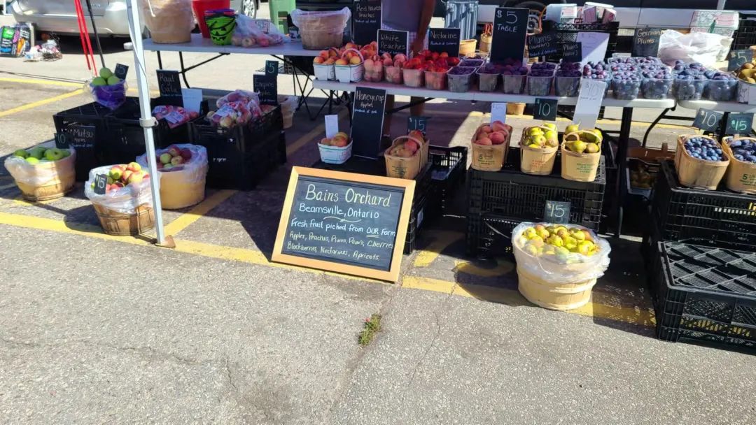 打卡St. Jacobs农贸市场：不吃德国猪蹄，就为赶大集