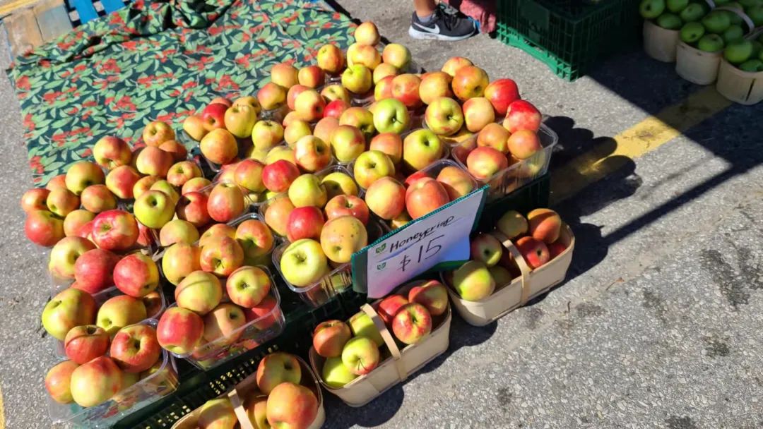 打卡St. Jacobs农贸市场：不吃德国猪蹄，就为赶大集