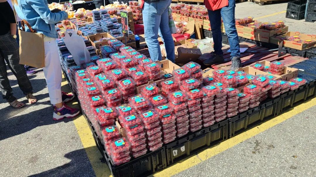 打卡St. Jacobs农贸市场：不吃德国猪蹄，就为赶大集