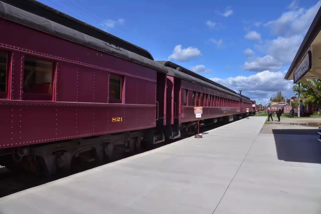 打卡坐蒸汽火车看枫叶：加拿大每个农民都有800亩地？