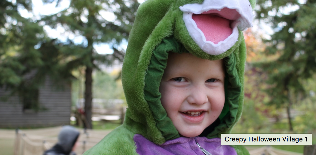 不想略过？万圣节走花路遛娃攻略：要糖、看灯、坐小火车、听鬼故事....