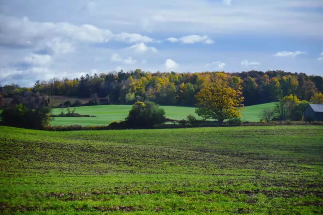 打卡坐蒸汽火车看枫叶：加拿大每个农民都有800亩地？
