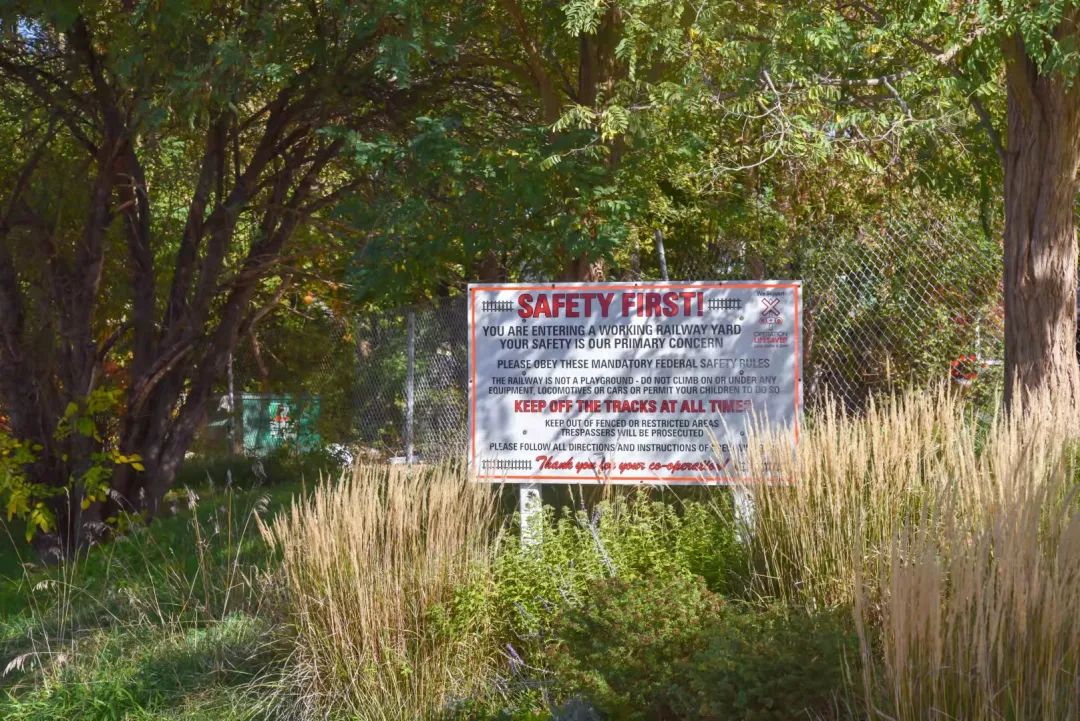 打卡坐蒸汽火车看枫叶：加拿大每个农民都有800亩地？