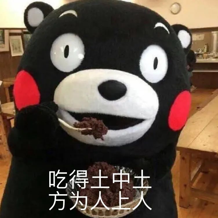 挖过宝！踩过坑！一元店Dollarma的宝藏和深坑有哪些？