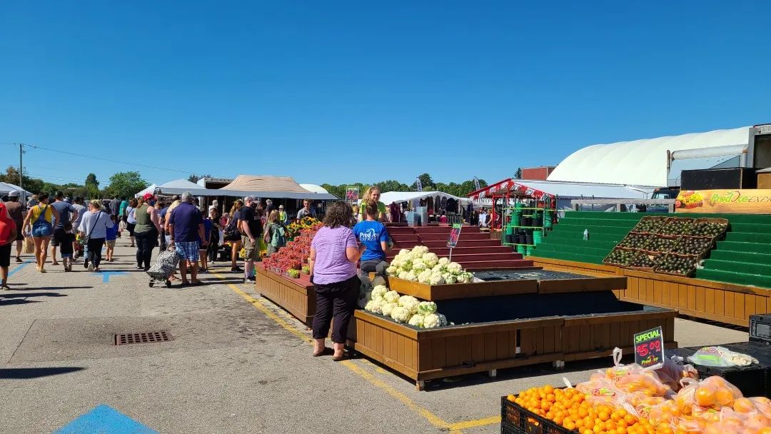 打卡St. Jacobs农贸市场：不吃德国猪蹄，就为赶大集